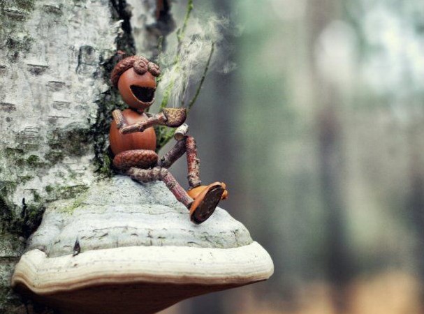 Acorn elf with a coffee in the wood postcard _ Zazzle_com.jpg